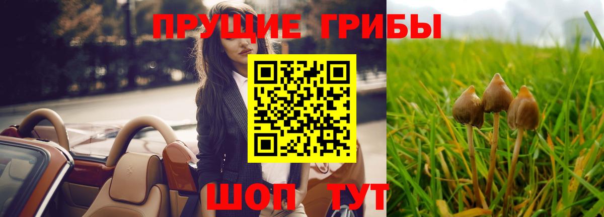 Псилоцибиновые грибы мицелий Зеленодольск